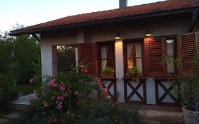 Nikolija 1